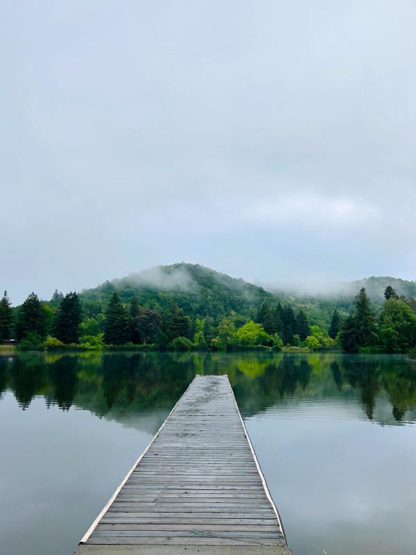 /Images/uploads/Sonoma County Regional Parks Foundation/springlake50/entries/28939thumb.jpg